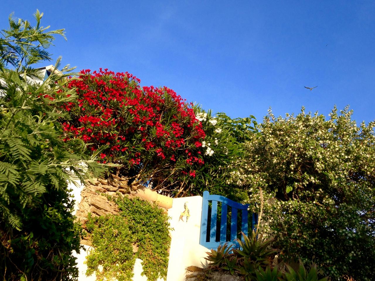 Entrée de la maison bleue